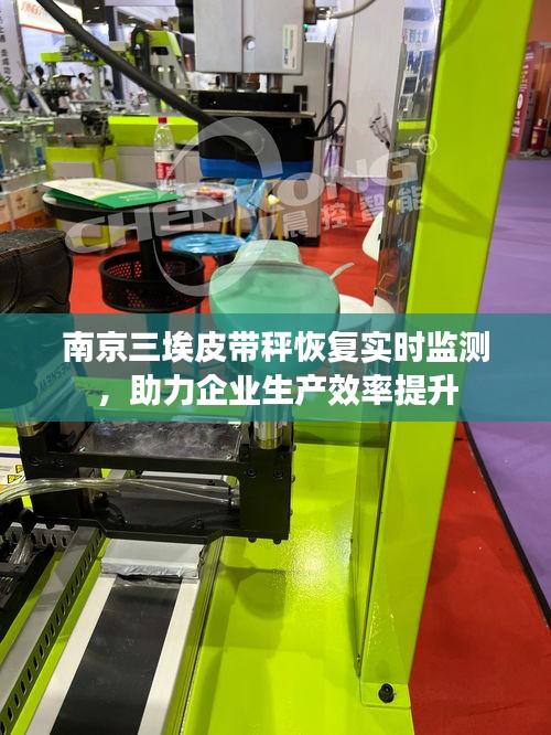 南京三埃皮帶秤恢復(fù)實(shí)時(shí)監(jiān)測(cè)，助力企業(yè)生產(chǎn)效率提升