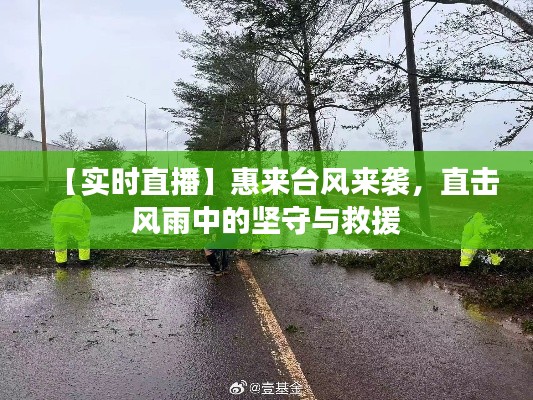 【實時直播】惠來臺風來襲，直擊風雨中的堅守與救援