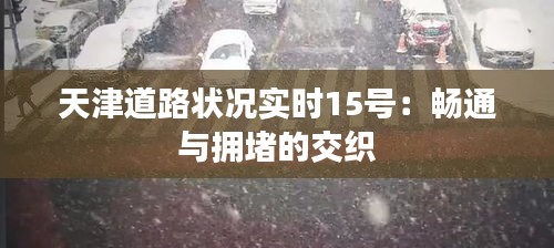 天津道路狀況實(shí)時(shí)15號：暢通與擁堵的交織