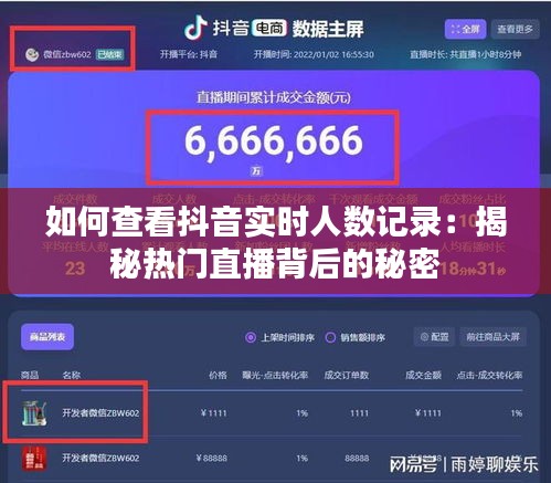 如何查看抖音實(shí)時(shí)人數(shù)記錄：揭秘?zé)衢T直播背后的秘密