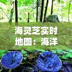 蛙鳴鼓吹 第4頁