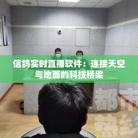 信鴿實時直播軟件：連接天空與地面的科技橋梁