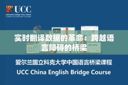 實(shí)時翻譯數(shù)據(jù)的革命：跨越語言障礙的橋梁