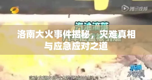 洛南大火事件揭秘，災難真相與應急應對之道