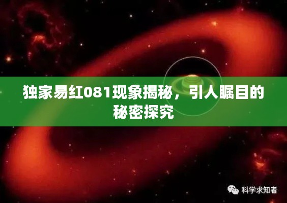 獨家易紅081現(xiàn)象揭秘，引人矚目的秘密探究