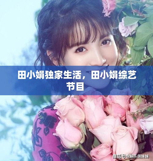 田小娟獨(dú)家生活，田小娟綜藝節(jié)目 
