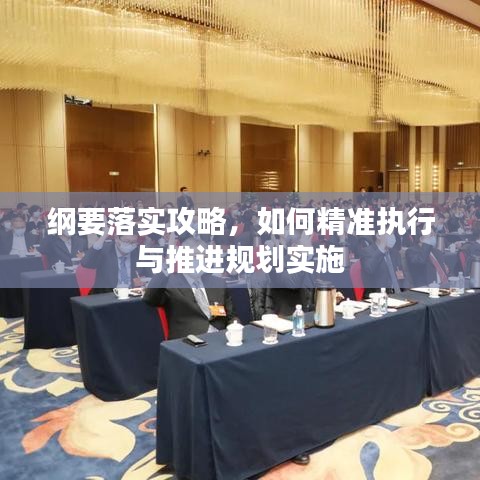 綱要落實攻略，如何精準執(zhí)行與推進規(guī)劃實施