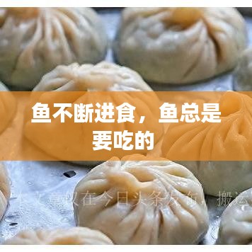 魚(yú)不斷進(jìn)食，魚(yú)總是要吃的 