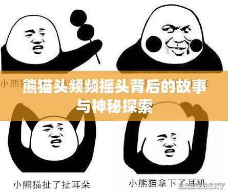 熊貓頭頻頻搖頭背后的故事與神秘探索