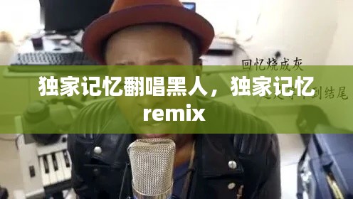 獨(dú)家記憶翻唱黑人，獨(dú)家記憶remix 