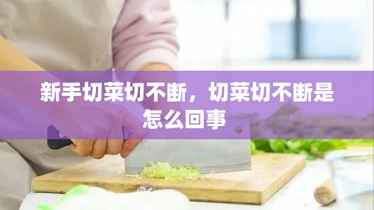 新手切菜切不斷，切菜切不斷是怎么回事 
