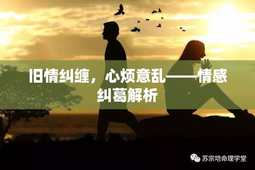舊情糾纏，心煩意亂——情感糾葛解析