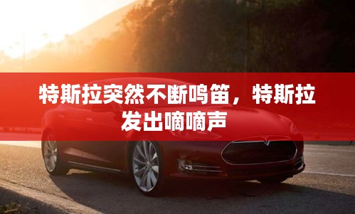 特斯拉突然不斷鳴笛，特斯拉發(fā)出嘀嘀聲 