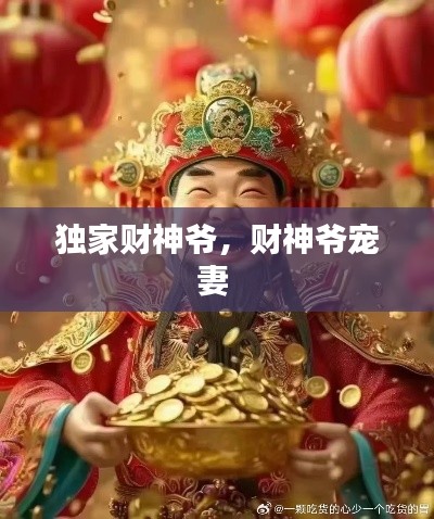 獨(dú)家財(cái)神爺，財(cái)神爺寵妻 
