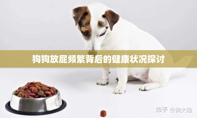 狗狗放屁頻繁背后的健康狀況探討
