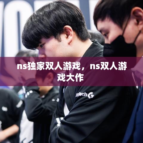 ns獨(dú)家雙人游戲，ns雙人游戲大作 