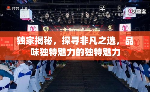 獨家揭秘，探尋非凡之選，品味獨特魅力的獨特魅力