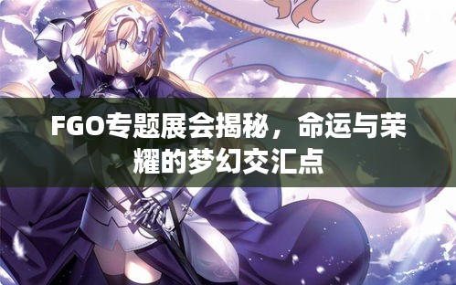 FGO專(zhuān)題展會(huì)揭秘，命運(yùn)與榮耀的夢(mèng)幻交匯點(diǎn)