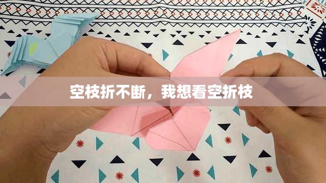 空枝折不斷，我想看空折枝 