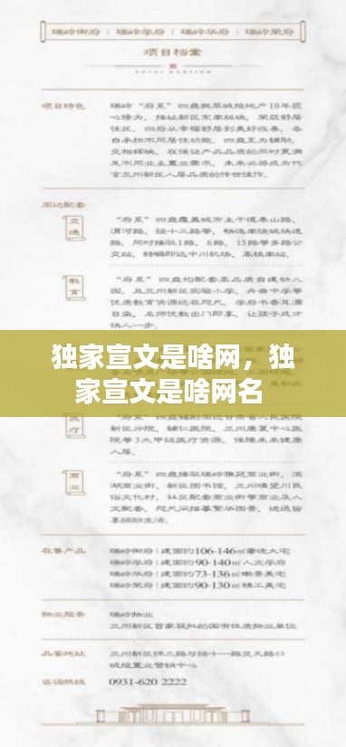 獨(dú)家宣文是啥網(wǎng)，獨(dú)家宣文是啥網(wǎng)名 