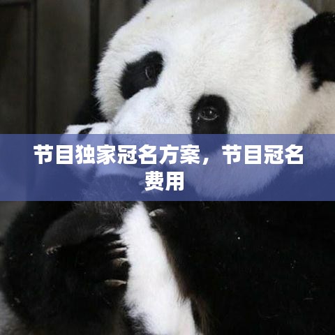 節(jié)目獨家冠名方案，節(jié)目冠名費用 