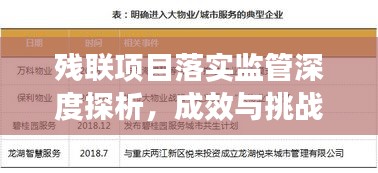 殘聯(lián)項(xiàng)目落實(shí)監(jiān)管深度探析，成效與挑戰(zhàn)并存