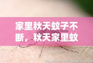 家里秋天蚊子不斷，秋天家里蚊子多是什么原因造成的? 