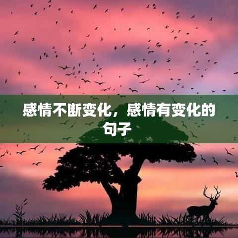感情不斷變化，感情有變化的句子 