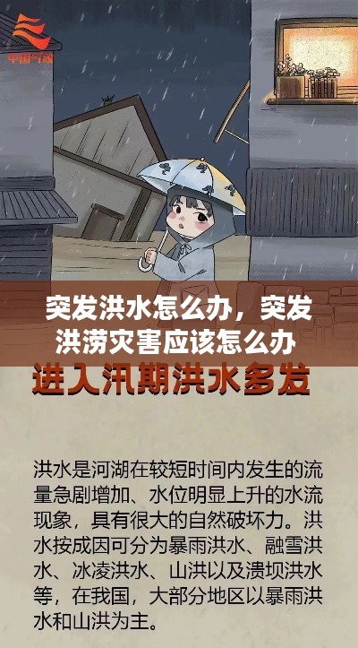 如翚斯飛 第3頁