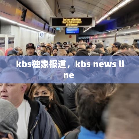 kbs獨(dú)家報(bào)道，kbs news line 