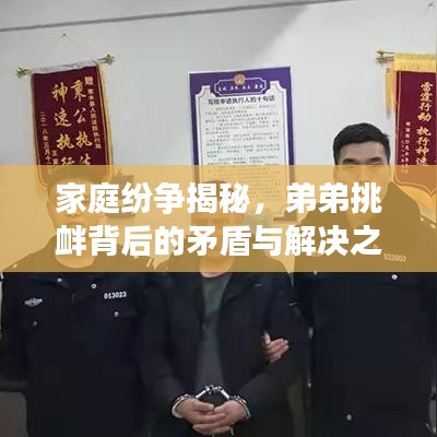 家庭紛爭揭秘，弟弟挑釁背后的矛盾與解決之道