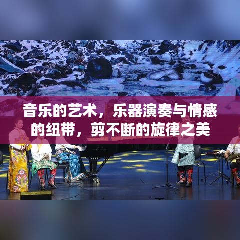 音樂的藝術，樂器演奏與情感的紐帶，剪不斷的旋律之美