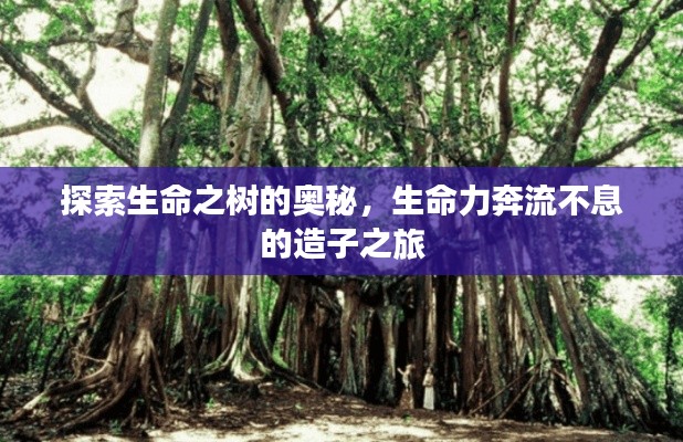 探索生命之樹的奧秘，生命力奔流不息的造子之旅