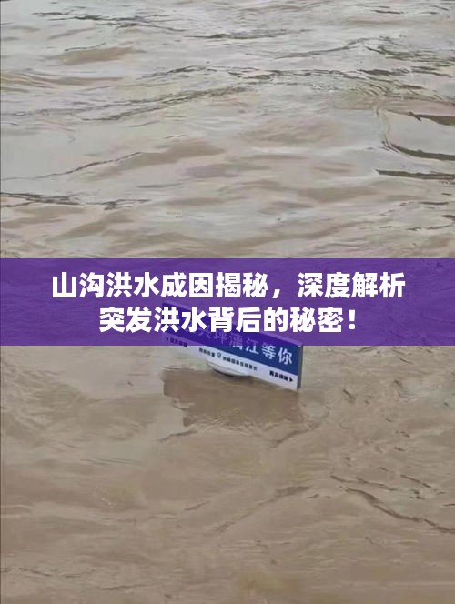 山溝洪水成因揭秘，深度解析突發(fā)洪水背后的秘密！