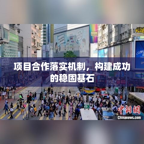 項目合作落實機制，構(gòu)建成功的穩(wěn)固基石
