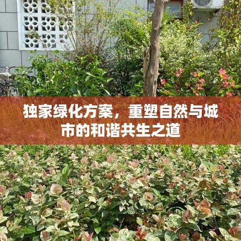 獨(dú)家綠化方案，重塑自然與城市的和諧共生之道