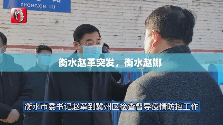 衡水趙革突發(fā)，衡水趙娜 