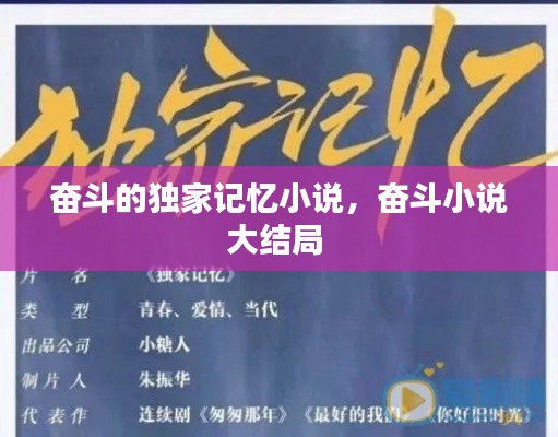 奮斗的獨家記憶小說，奮斗小說大結(jié)局 