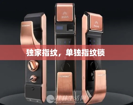 獨家指紋，單獨指紋鎖 