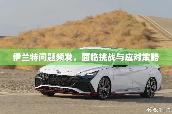 伊蘭特問題頻發(fā)，面臨挑戰(zhàn)與應(yīng)對策略