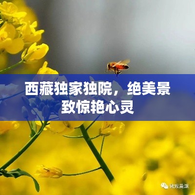 西藏獨(dú)家獨(dú)院，絕美景致驚艷心靈