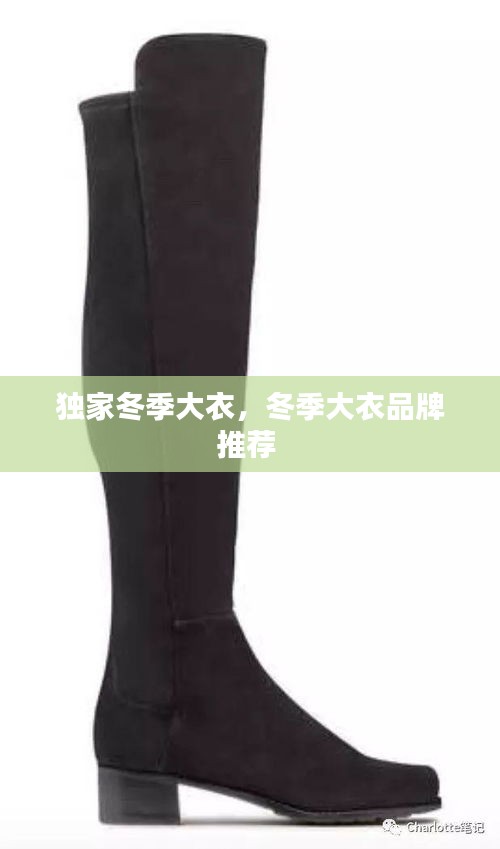 獨(dú)家冬季大衣，冬季大衣品牌推薦 