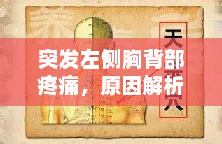 突發(fā)左側(cè)胸背部疼痛，原因解析、診斷方法與治療策略