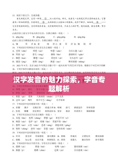 漢字發(fā)音的魅力探索，字音專題解析