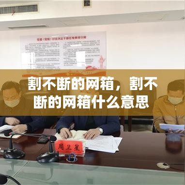 割不斷的網(wǎng)箱，割不斷的網(wǎng)箱什么意思 