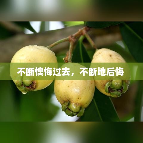 通宵達(dá)旦 第3頁