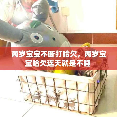 兩歲寶寶不斷打哈欠，兩歲寶寶哈欠連天就是不睡 