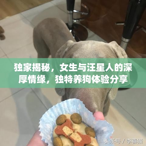 獨家揭秘，女生與汪星人的深厚情緣，獨特養(yǎng)狗體驗分享