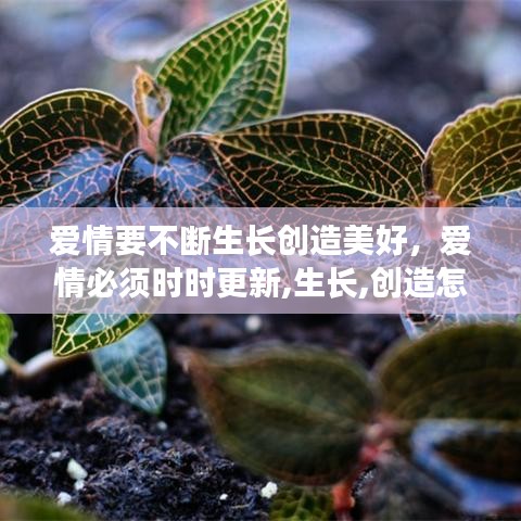 愛(ài)情要不斷生長(zhǎng)創(chuàng)造美好，愛(ài)情必須時(shí)時(shí)更新,生長(zhǎng),創(chuàng)造怎么理解500字 