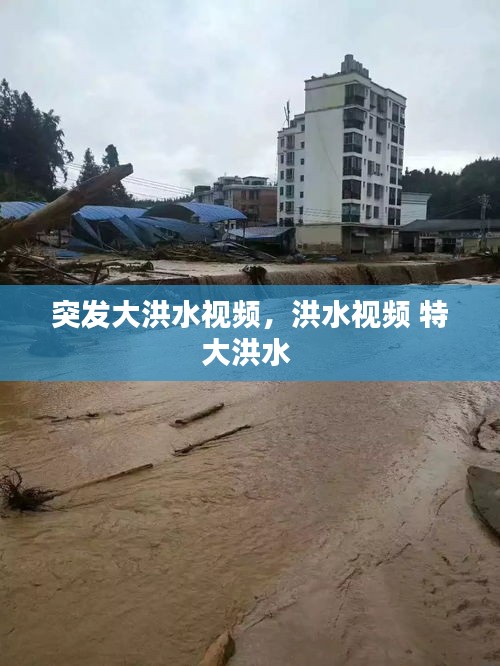 突發(fā)大洪水視頻，洪水視頻 特大洪水 